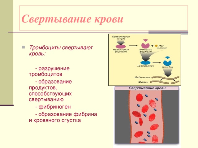 Свертывание крови презентация