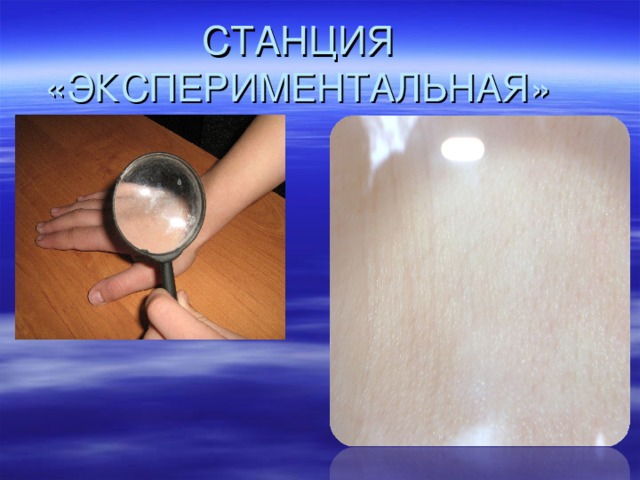 СТАНЦИЯ «ЭКСПЕРИМЕНТАЛЬНАЯ» 
