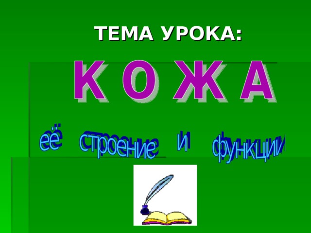 ТЕМА УРОКА: 