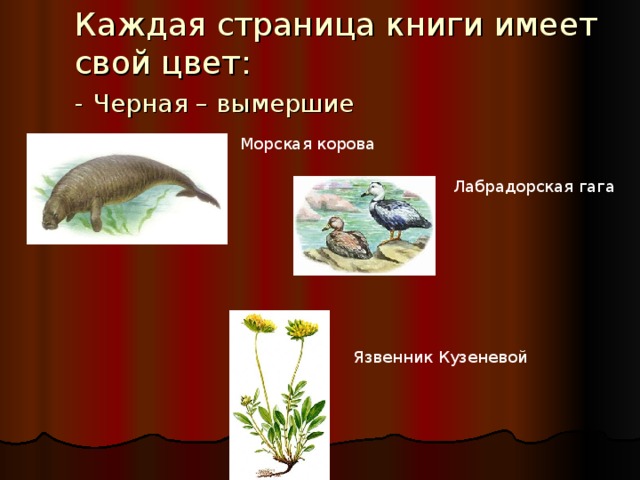Каждая страница книги имеет свой цвет :  -  Черная – вымершие   Морская корова Лабрадорская гага Язвенник Кузеневой 