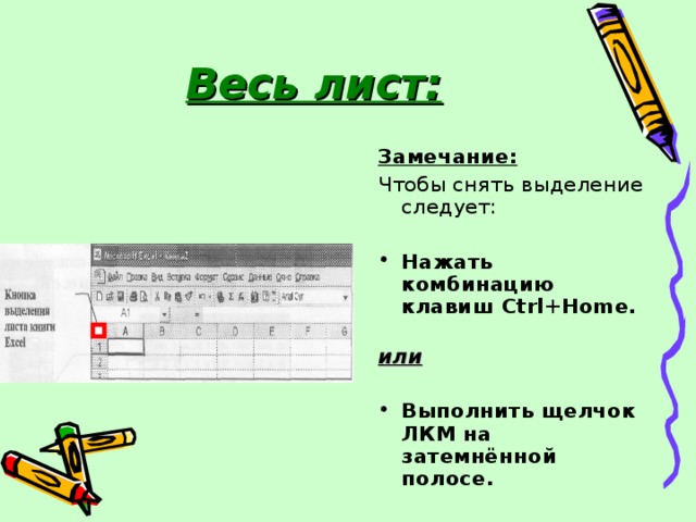 Весь лист: Замечание: Чтобы снять выделение следует: Нажать комбинацию клавиш Ctrl + Home .   или  Выполнить щелчок ЛКМ на затемнённой полосе. 