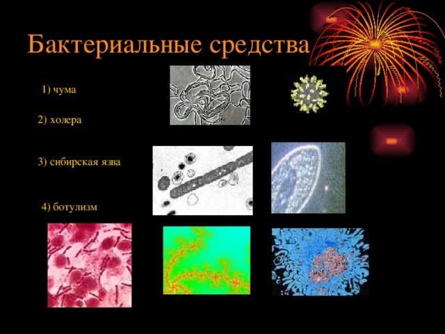 Бактериальные средства  1) чума 2) холера  3) сибирская язва  4) ботулизм  