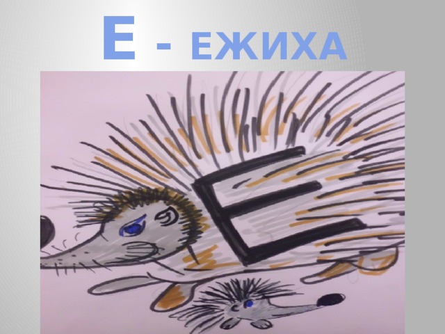 Е - ЕЖИХА 
