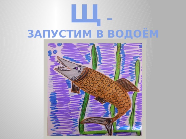 Щ –  ЗАПУСТИМ В ВОДОЁМ 