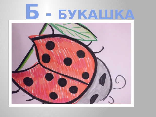 Б - БУКАШКА 