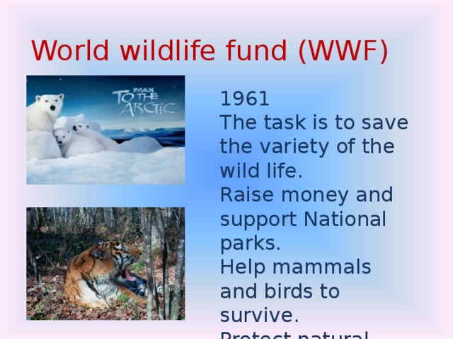 World wildlife fund (WWF) 1961 The task is to save the variety of the wild life. Raise money and support National parks. Help mammals and birds to survive. Protect natural world. 