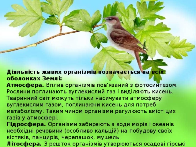 Діяльність живих організмів позначається на всіх оболонках Землі: Атмосфера. Вплив організмів пов'язаний з фотосинтезом. Рослини поглинають вуглекислий газ і виділяють кисень. Тваринний світ можуть тільки насичувати атмосферу вуглекислим газом, поглинаючи кисень для потреб метаболізму. Таким чином організми регулюють вміст цих газів у атмосфері. Гідросфера. Організми забирають з води морів і океанів необхідні речовини (особливо кальцій) на побудову своїх кістяків, панцирів, черепашок, мушель. Літосфера . З решток організмів утворюються осадові гірські породи органічного походження (вапняки, торф, кам'яне вугілля) , а також деякі форми поверхні (коралові споруди). З іншого боку організми руйнують гірські породи (органічне вивітрювання). 