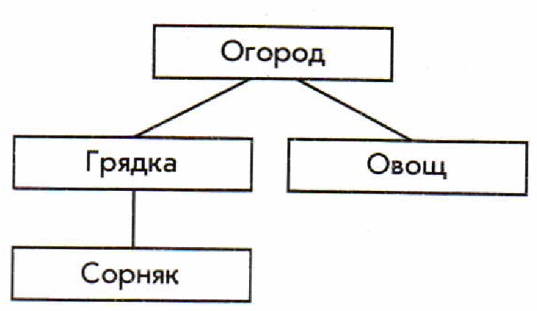 Общее имя информатика 6 класс