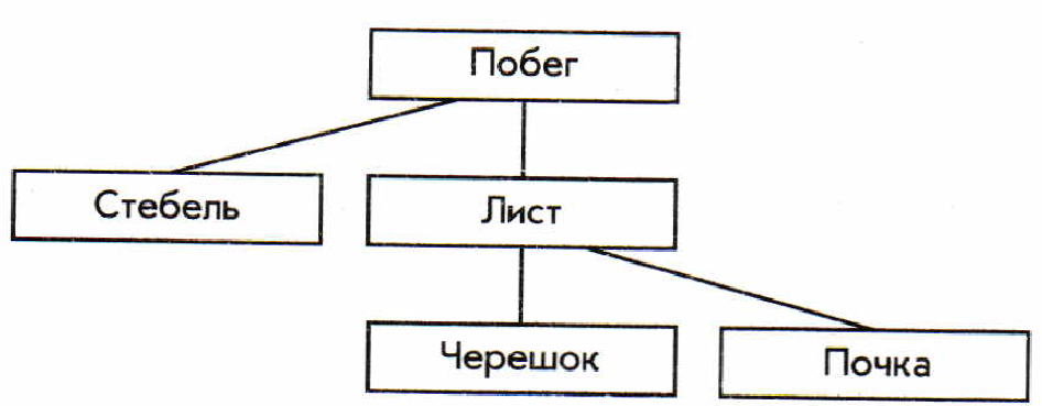 Отметьте общие. Укажите входы и выходы для системы компьютер Информатика 6. Схема компьютера Информатика 6 класс. Входы и выходы для системы компьютер 6 класс. Схема объекта Информатика 6 класс.