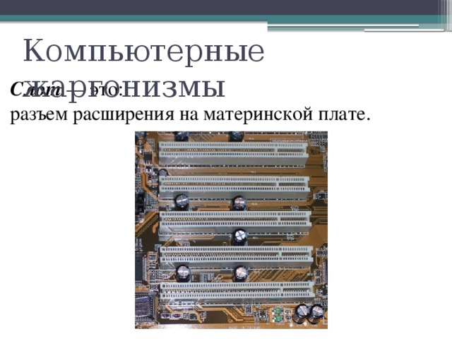 Компьютерные жаргонизмы Слот — это: разъем расширения на материнской плате. 