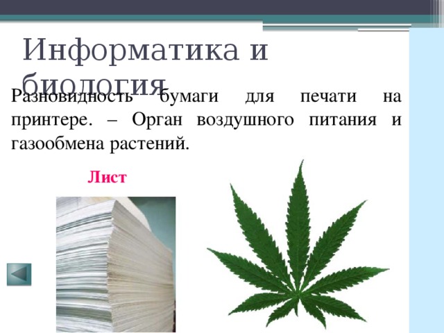 Информатика и биология Разновидность бумаги для печати на принтере. – Орган воздушного питания и газообмена растений. Лист 