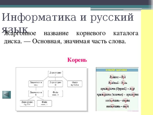 Информатика и русский язык Жаргонное название корневого каталога диска. — Основная, значимая часть слова. Корень 