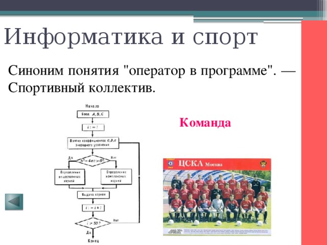 Информатика и спорт Синоним понятия 