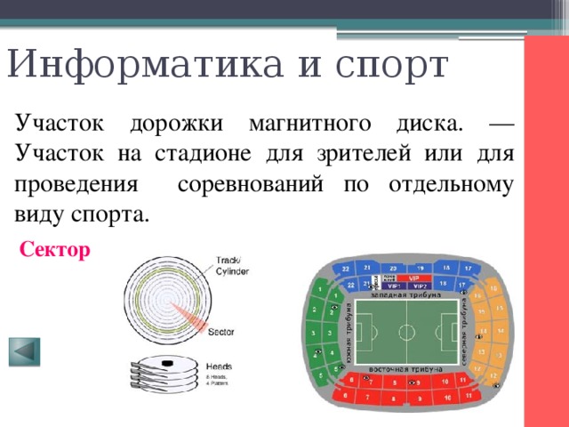 Информатика и спорт Участок дорожки магнитного диска. — Участок на стадионе для зрителей или для проведения соревнований по отдельному виду спорта. Сектор 