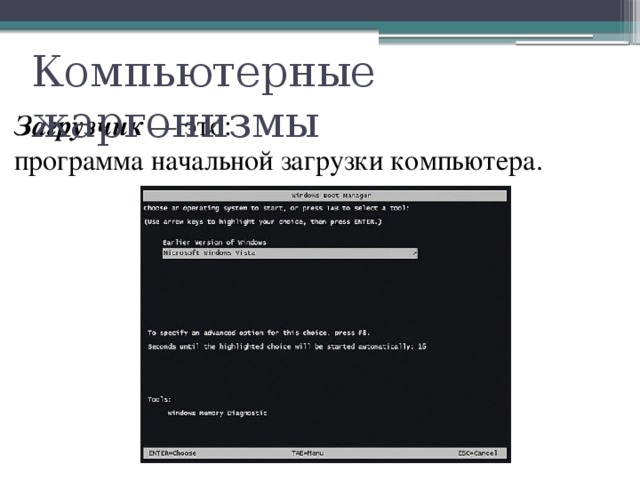 Компьютерные жаргонизмы Загрузчик — это: программа начальной загрузки компьютера. 