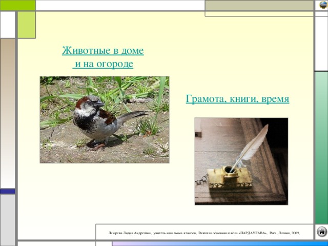 Животные в доме и на огороде Грамота, книги, время 