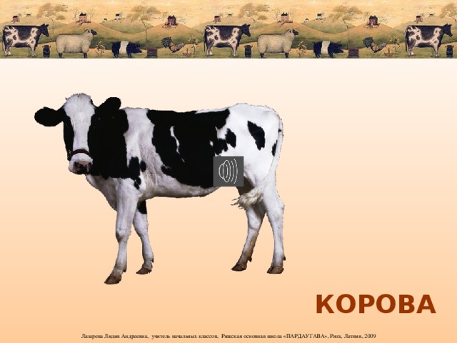 КОРОВА 