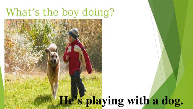 What’s the boy doing? He’s playing with a dog. 