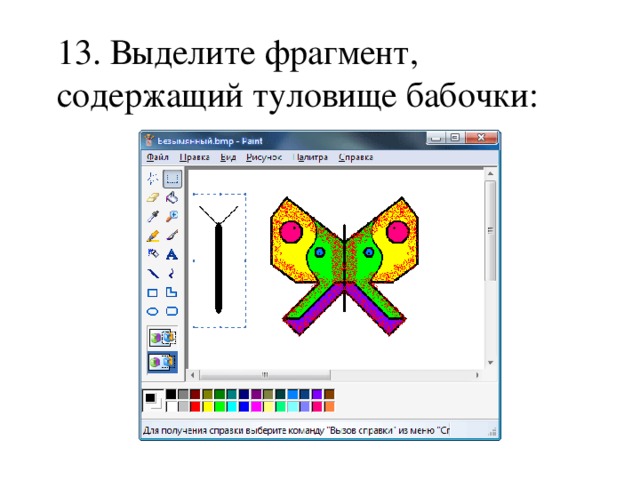 13. Выделите фрагмент, содержащий туловище бабочки: 