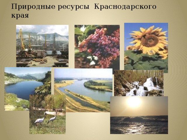 Природные ресурсы края