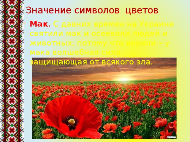 Значение символов цветов Мак . С давних времен на Украине святили мак и осеевали людей и животных, потому что верили – у мака волшебная сила, защищающая от всякого зла. 