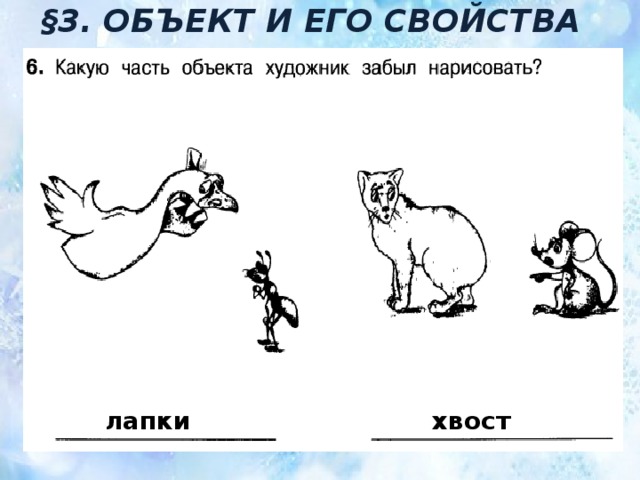 §3. ОБЪЕКТ И ЕГО СВОЙСТВА лапки хвост 