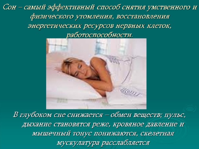  Сон – самый эффективный способ снятия умственного и физического утомления, восстановления энергетических ресурсов нервных клеток, работоспособности . 