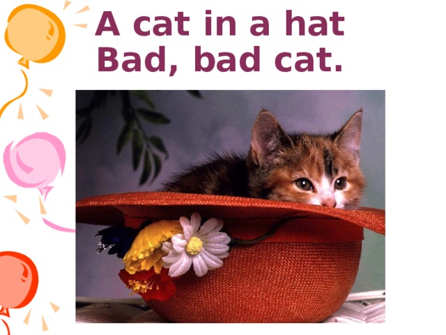 A cat in a hat  Bad, bad cat. 