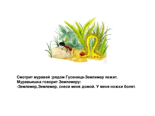 Гусеница землемер рисунок