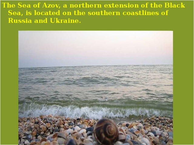 The Sea of Azov, a northern extension of the Black Sea, is located on the southern coastlines of Russia and Ukraine. 