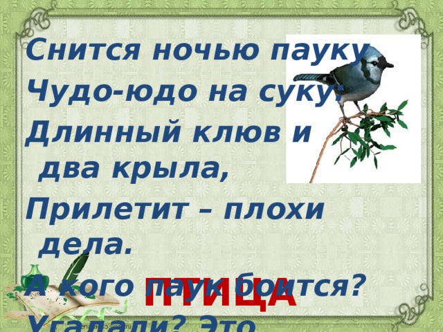 Снится ночью пауку Чудо-юдо на суку: Длинный клюв и два крыла, Прилетит – плохи дела. А кого паук боится? Угадали? Это …. ПТИЦА 
