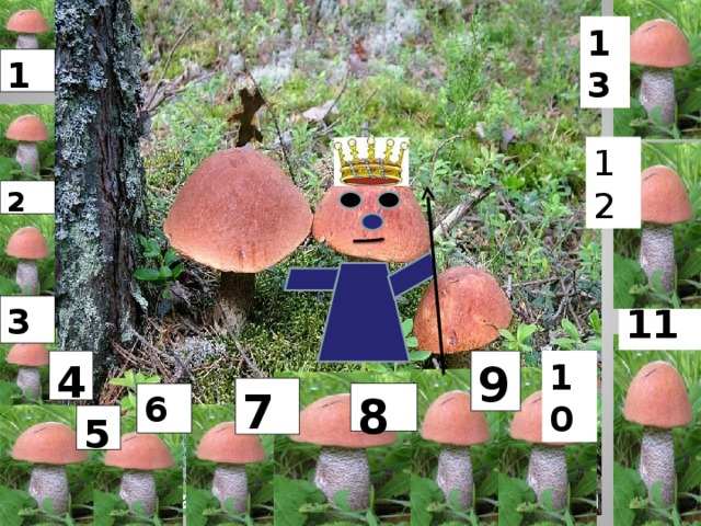 13 1 12 2 11 3 4 9 10 7 6 8  5  