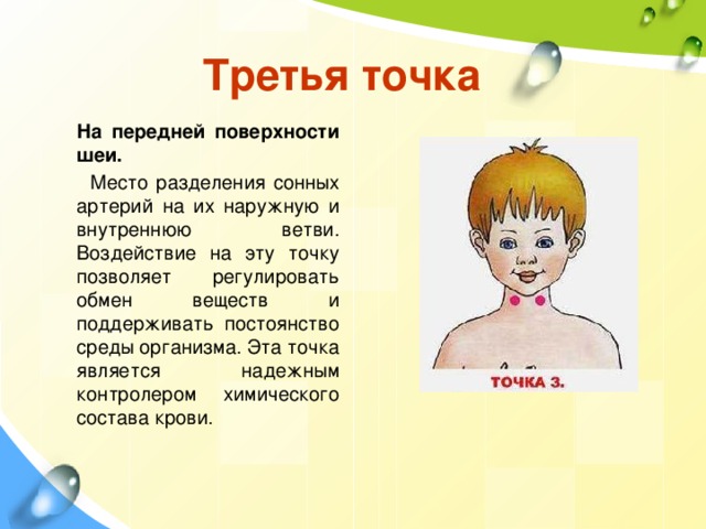 Третья точка На передней поверхности шеи. Место разделения сонных артерий на их наружную и внутреннюю ветви. Воздействие на эту точку позволяет регулировать обмен веществ и поддерживать постоянство среды организма. Эта точка является надежным контролером химического состава крови. 