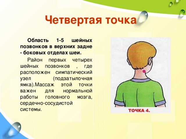 Четвертая точка Область 1-5 шейных позвонков в верхних задне - боковых отделах шеи. Район первых четырех шейных позвонков , где расположен симпатический узел (подзатылочная ямка).Массаж этой точки важен для нормальной работы головного мозга, сердечно-сосудистой системы. 