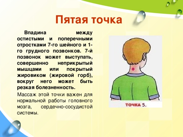 Пятая точка Впадина между остистыми и поперечными отростками 7-го шейного и 1-го грудного позвонков. 7-й позвонок может выступать, совершенно неприкрытый мышцами или покрытый жировиком (жировой горб), вокруг него может быть резкая болезненность. Массаж этой точки важен для нормальной работы головного мозга, сердечно-сосудистой системы. 