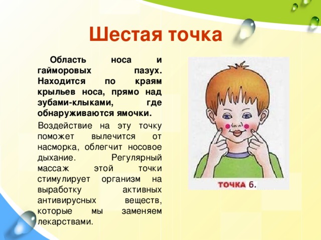 Шестая точка Область носа и гайморовых пазух. Находится по краям крыльев носа, прямо над зубами-клыками, где обнаруживаются ямочки. Воздействие на эту точку поможет вылечится от насморка, облегчит носовое дыхание. Регулярный массаж этой точки стимулирует организм на выработку активных антивирусных веществ, которые мы заменяем лекарствами. 