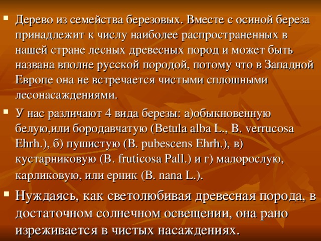Дерево из семейства березовых. Вместе с осиной береза принадлежит к числу наиболее распространенных в нашей стране лесных древесных пород и может быть названа вполне русской породой, потому что в Западной Европе она не встречается чистыми сплошными лесонасаждениями. У нас различают 4 вида березы: а)обыкновенную белую,или бородавчатую (Betula alba L., B. verrucosa Ehrh.), б) пушистую (В. pubescens Ehrh.), в) кустарниковую (B. fruticosa Pall.) и г) малорослую, карликовую, или ерник (В. nana L.).  Нуждаясь, как светолюбивая древесная порода, в достаточном солнечном освещении, она рано изреживается в чистых насаждениях. 