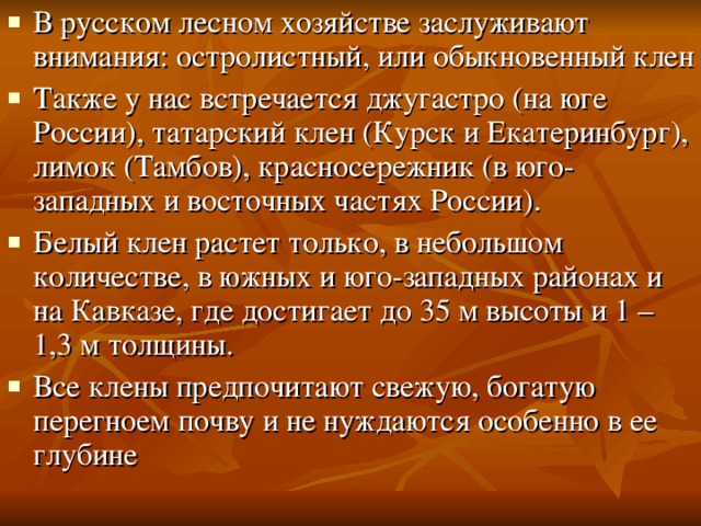 В русском лесном хозяйстве заслуживают внимания: остролистный, или обыкновенный клен Также у нас встречается джугастро (на юге России), татарский клен (Курск и Екатеринбург), лимок (Тамбов), красносережник (в юго-западных и восточных частях России). Белый клен растет только, в небольшом количестве, в южных и юго-западных районах и на Кавказе, где достигает до 35 м высоты и 1 – 1,3 м толщины. Все клены предпочитают свежую, богатую перегноем почву и не нуждаются особенно в ее глубине  