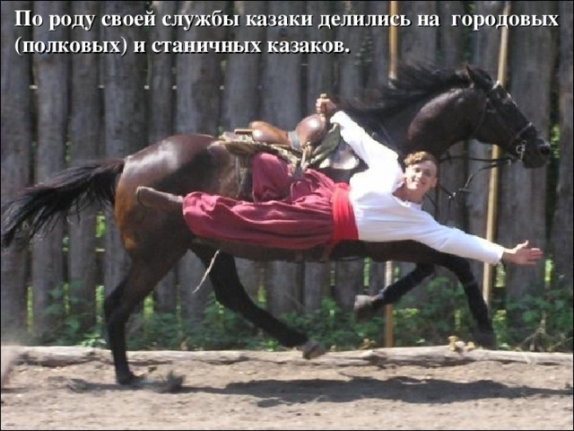 По роду своей службы казаки делились на  городовых (полковых) и станичных казаков. 