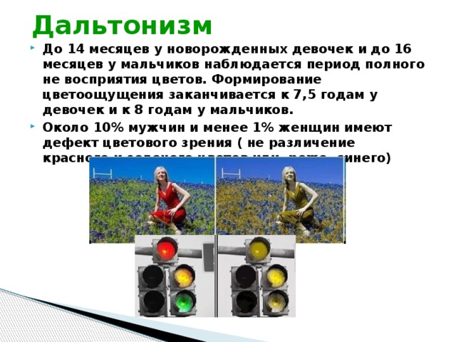 Бинокулярное зрение  Благодаря тому, что у нас имеется два глаза, каждый из которых воспринимает предметы под своим углом, а также благодаря мозгу. Сводящему полученное изображение воедино, мы способны воспринимать пространственные объемы. Каждый глаз посылает в головной мозг различные образы. Мозг в свою очередь объединяет оба изображения в единое целое, обладающее тремя измерениями: высотой, шириной и глубиной. 