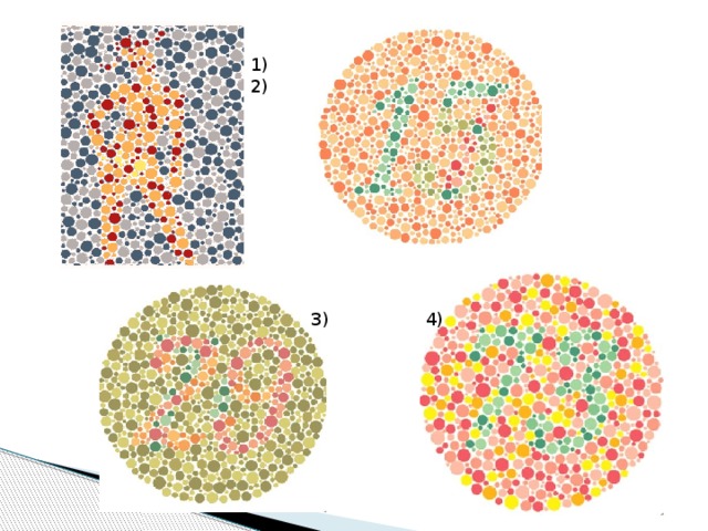 Дальтонизм До 14 месяцев у новорожденных девочек и до 16 месяцев у мальчиков наблюдается период полного не восприятия цветов. Формирование цветоощущения заканчивается к 7,5 годам у девочек и к 8 годам у мальчиков. Около 10% мужчин и менее 1% женщин имеют дефект цветового зрения ( не различение красного и зеленого цветов или, реже, синего) 