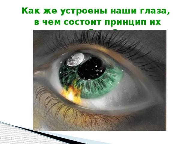 Как же устроены наши глаза,  в чем состоит принцип их работы? 