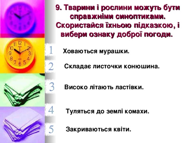 9. Тварини і рослини можуть бути справжніми синоптиками. Скористайся їхньою підказкою, і вибери ознаку доброї погоди.  Ховаються мурашки.  Складає листочки конюшина.  Високо літають ластівки.  Туляться до землі комахи.  Закриваються квіти.  