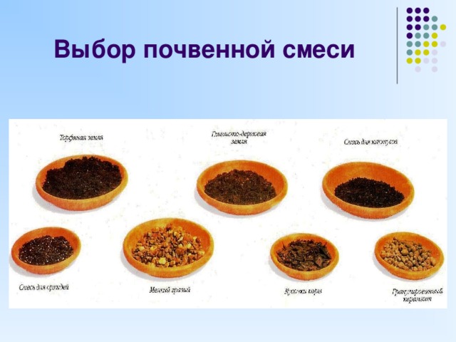 Почвенные смеси для комнатных растений презентация