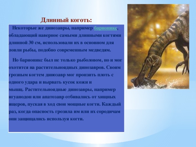 Длинный коготь:     Некоторые же динозавры, например  барионикс , обладающий наверное самыми длинными когтями длинной 30 см, использовали их в основном для ловли рыбы, подобно современным медведям.     Но барионикс был не только рыболовом, но и мог охотится на растительноядных динозавров. Своим грозным когтем динозавр мог пронзить плоть с одного удара и вырвать кусок кожи и мышц. Растительноядные динозавры, например игуанодон или апатозавр отбивались от хищных ящеров, пуская в ход свои мощные когти. Каждый раз, когда опасность грозила им или их сородичам они защищались используя когти.  