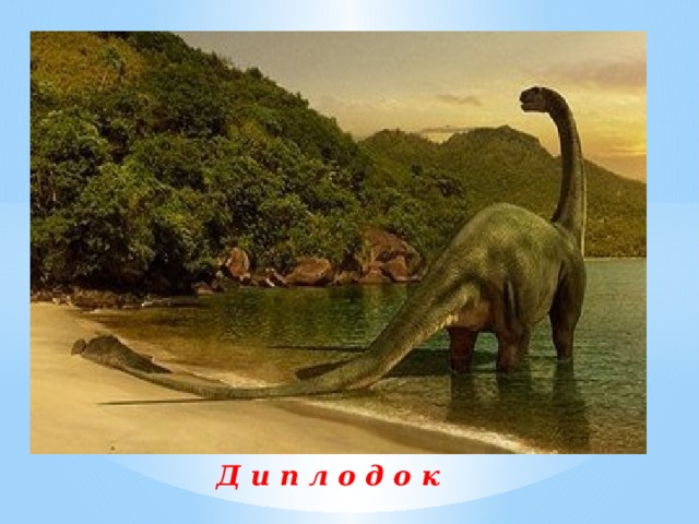 Д и п л о д о к 