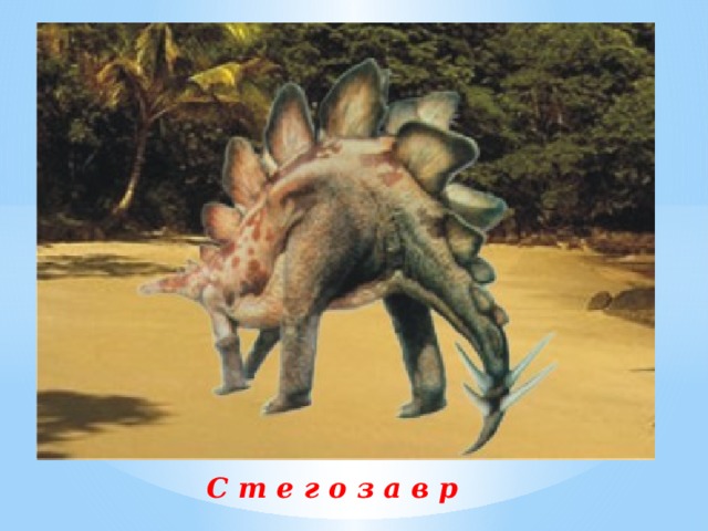 С т е г о з а в р 