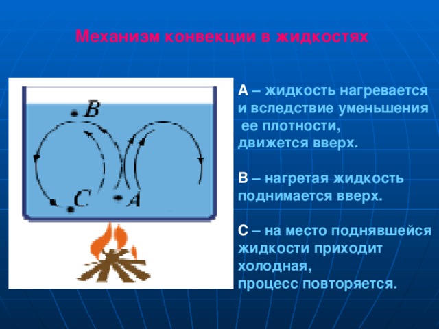 Механизм конвекции в жидкостях А – жидкость нагревается и вследствие уменьшения  ее плотности, движется вверх.  В – нагретая жидкость поднимается вверх.  С – на место поднявшейся жидкости приходит холодная, процесс повторяется. 