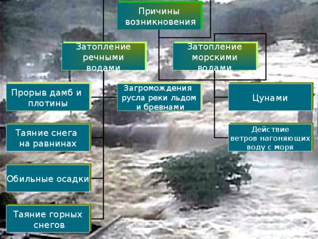 Причины  возникновения Затопление речными водами Затопление морскими водами Прорыв дамб и плотины Загромождения русла реки льдом  и бревнами Цунами Таяние снега на равнинах Действие  ветров нагоняющих воду с моря Обильные осадки Таяние горных  снегов 