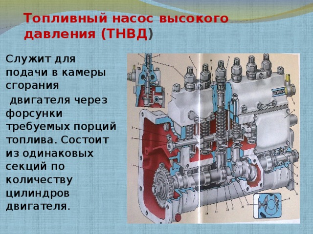 Топливный насос высокого давления (ТНВД )   Служит для подачи в камеры сгорания    двигателя через форсунки требуемых порций топлива. Состоит из одинаковых секций по количеству цилиндров двигателя.     